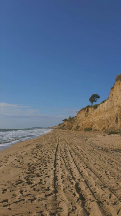 Plantillas inteligentes para medir salud y composición corporal